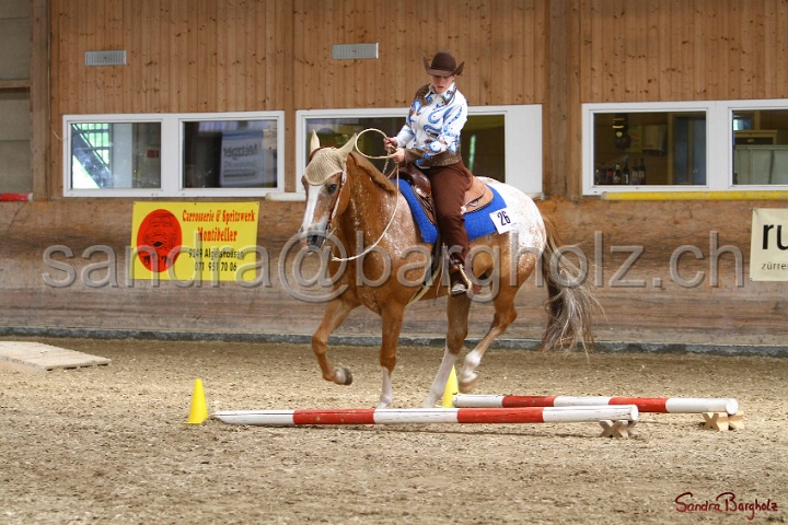 28-ApHC OT_006.jpg